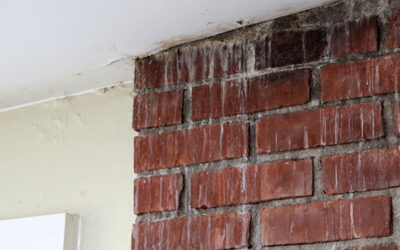 chimney leak in Carmel IN