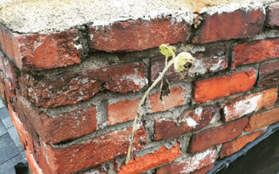 chimney damage in need of repair in zionsville in