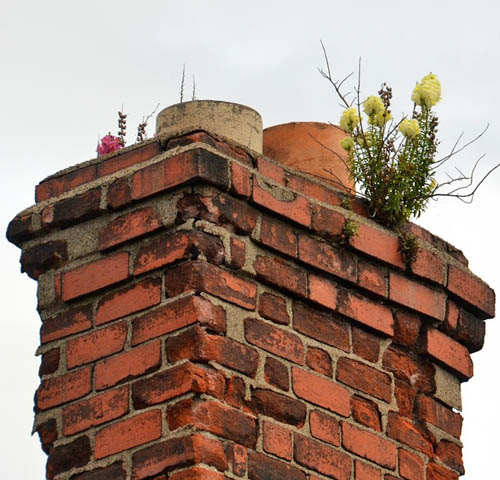 Smelly chimney repairs available in Indianapolis & Carmel IN