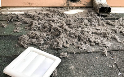 Lint from dryer vent in Greenwood, IN.