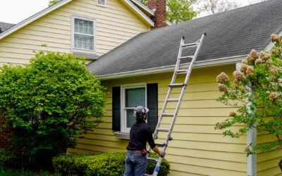 Chimney inspections in Indianapolis, Indiana