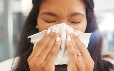 Chimney Cleaning in Indianapolis, IN